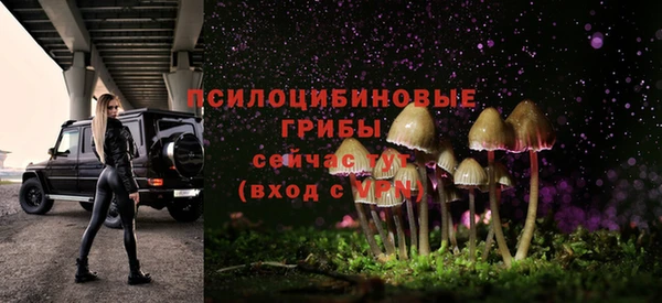 сатива Алексеевка