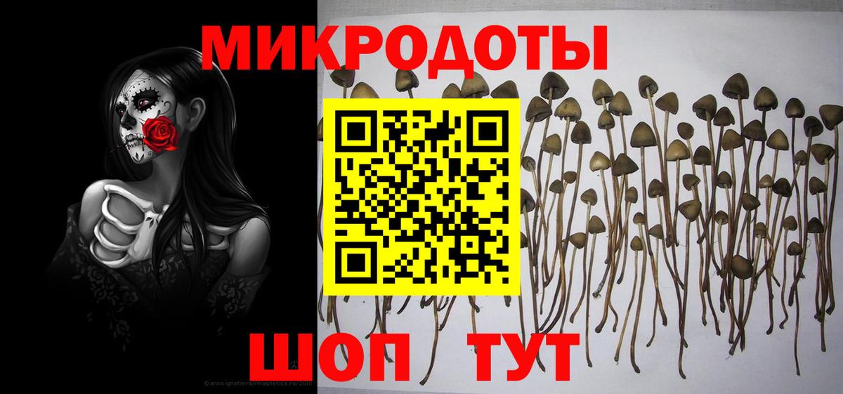 Галлюциногенные грибы мицелий  Вход с VPN  Псилоцибиновые грибы GOLDEN TEACHER  Муравленко 